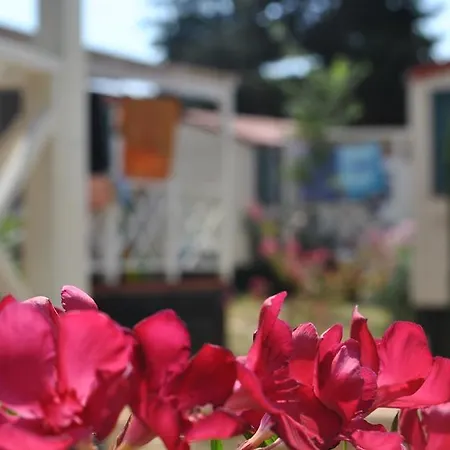 Mobile Homes Camp Brione Πούλα